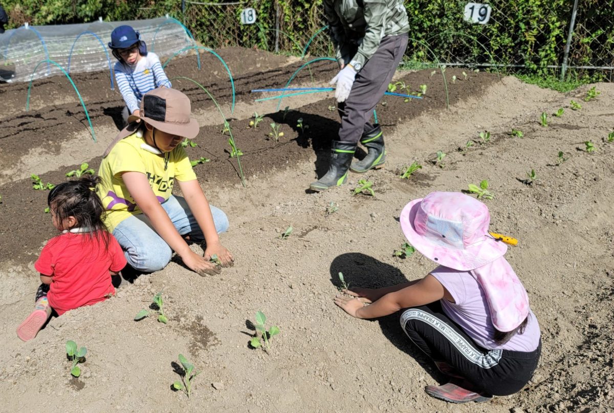 四季の郷公園「土の農園」2025年度 体験農園利用者募集