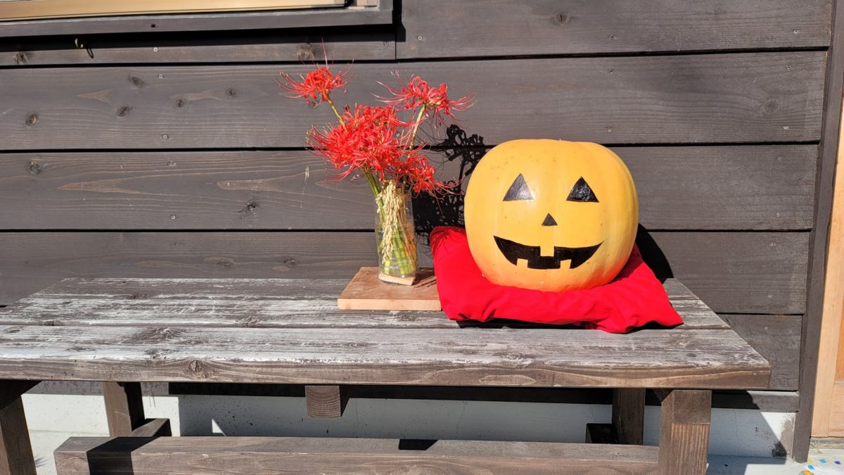 かぼちゃの飾りを置きました ~Happy Halloween~